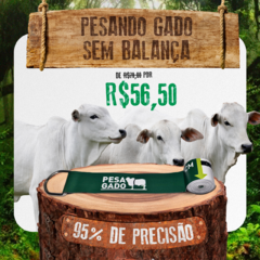 Fita Pesa Gado