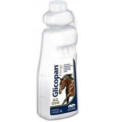 Glicopan Energy 1L - comprar online