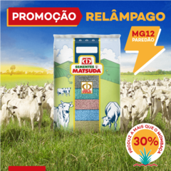 MG12 PAREDÃO 10KG SÉRIE GOLD NA PROMOÇÃO ENVIO IMEDIATO!