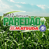 MG 12 PAREDÃO A GRANEL (1 KG) SÉRIE GOLD NA PROMOÇÃO ENVIO IMEDIATO!