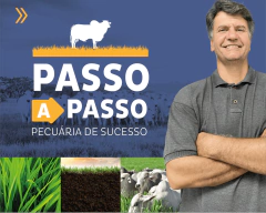 CURSO PASSO A PASSO NA PECUÁRIA - PECUÁRIA DE SUCESSO - comprar online