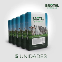 NÚCLEO FOSBASE FLEX PASTO 30 KG (5 UNIDADES) - comprar online