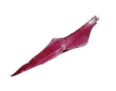 Carenagem Traseira Esquerda Vermelho Vitória Iros Moving 125 - comprar online