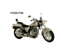 Conjunto Rolamento E Placa De Partida Original Fym 250 - Sf Motos