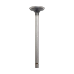 Válvula Escape Brandy Turuna ML XL 125 Até 1983