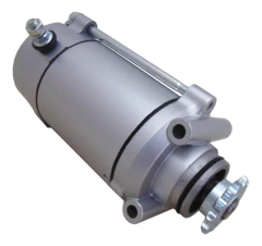 Motor Partida Arranque Original Shineray Custom 250 - comprar online