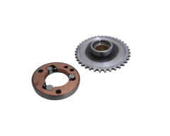 Conj. Rolamento Placa Partida Original Shineray Custom 250