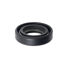 Retentor Eixo Bomba Agua Dafra Next 250 Citycom 300i na internet