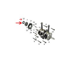 Retentor Virabrequim Traxx Shark E Shineray Custom E Fym 250 - comprar online