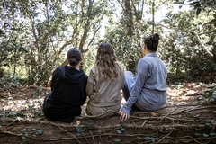 Banner de la categoría Bosque By SAHA