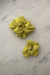 Imagen de Maxi Scrunchie