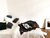 Banner de POSTO DECO