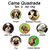 Cama Quadrada para Cachorro ou Gato Luppet Luxo Pequeno Príncipe Tamanho:G (LP8 - comprar online