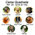 Cama Quadrada para Cachorro ou Gato Luppet Luxo Preto com Bolinhas coloridas Tam - comprar online