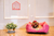 Cama Quadrada para Cachorro ou Gato Luppet Luxo Rosa Ossinho Tamanho:GG (LP8017- na internet