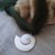 Pendente Coquile - comprar online