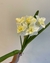 Rama de flores 55 cm - comprar online