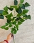 Ramo hojas 60cm - comprar online