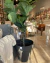 Maceta turquia clasica gris mate c/ruedas 45X41h - comprar online