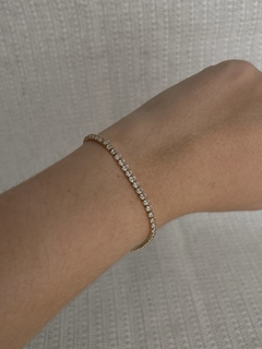 PULSEIRA (1494)