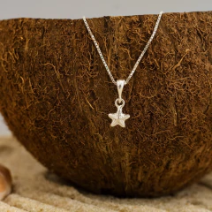Colar Mini Estrela do Mar - comprar online
