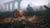 A Plague Tale: Innocence PS4 & PS5 DIGITAL - MegaplayDigital