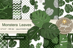 Colección Monstera Leaves