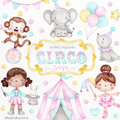 Colección Circo Rosa Ni Estudio