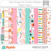 Finders Keepers Amy Tangerine PP1 American Crafts