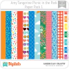 Picnic In The Park Amy Tangerine PP1 American Crafts
