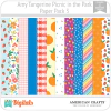 Picnic In The Park Amy Tangerine PP3 American Crafts