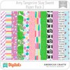 Stay Sweet Amy Tangerine PP2 American Crafts