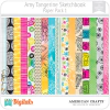 Sketchbook Amy Tangerine PP1 American Crafts