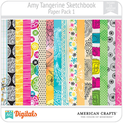 Sketchbook Amy Tangerine PP1 American Crafts