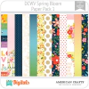 Spring Bloom DCWV PP1 American Crafts