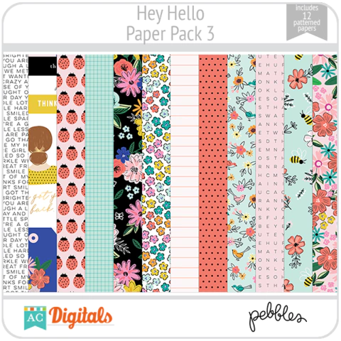 Hey Hello PP3 American Crafts