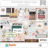 Hoja de Elementos Auburn Lane Pink Paislee Pack 1 American Crafts