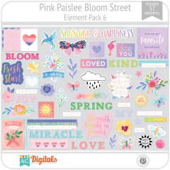 Hoja de Elementos Bloom Street Pink Paislee Pack 6 American Crafts