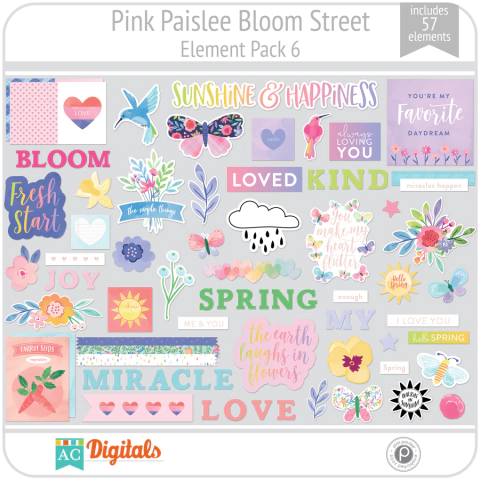 Hoja de Elementos Bloom Street Pink Paislee Pack 6 American Crafts