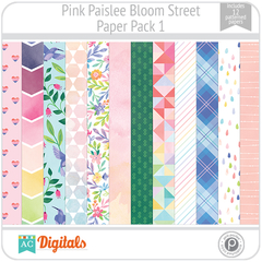 Bloom Street Pink Paislee PP1 American Crafts
