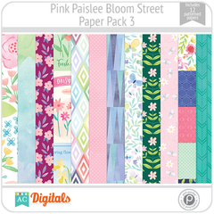Bloom Street Pink Paislee PP3 American Crafts