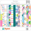 Horizon Pink Paislee PP1 American Crafts