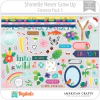 Hoja de Elementos Never Grow Up Shimelle Pack 3 American Crafts