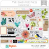Hoja de Elementos Field Notes Vicki Boutin Pack 3 American Crafts