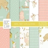 Colección Animal Party