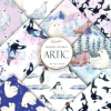 Colección Artic