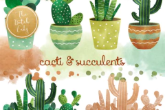 Hoja de Elementos Cacti & Succulents