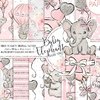 Colección Baby Elephant Baby Girl Collart - comprar online