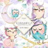 Hoja de Elementos Cute Owls