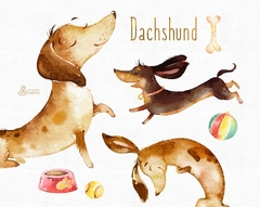 Hoja de Elementos Dachshund